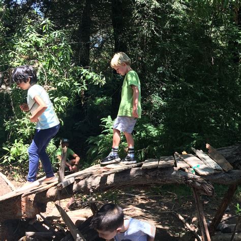 Summer Nature Adventure Camp Age 5 8 Environmental Nature Center