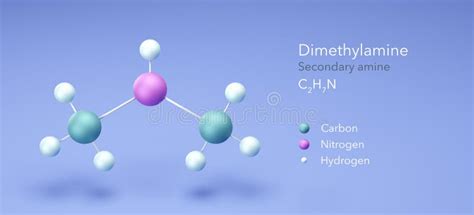 Dimethylamine Molecule Molecular Structures Secondary Amine 3d Model