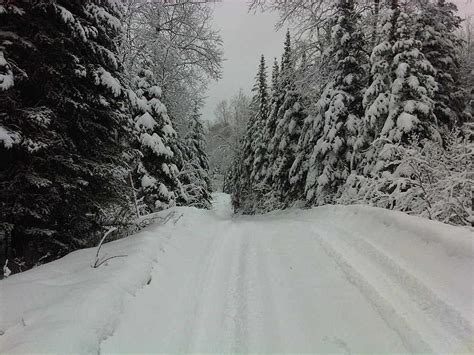 Winter in Ely Minnesota Photograph by Helene Toro