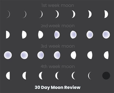 Moon Phases Day Moon Review Moon Phases Astronomy Icon Set Vector