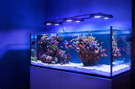 Aquariums Trsc Aquatics