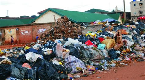 Group Announces App To Track Illegal Dumpsites Across Nigeria Premium