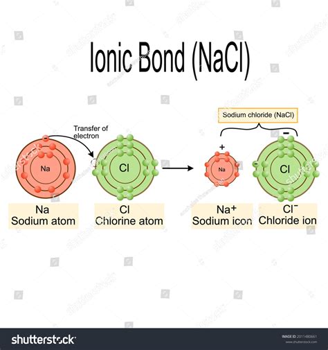 Ionic Bonding: Over 264 Royalty-Free Licensable Stock Vectors & Vector Art | Shutterstock