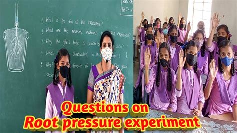 Root Pressure Experiment Questions On Root Pressure Experiment