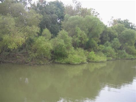 Our Great Loop Adventure: End of the Tombigbee River