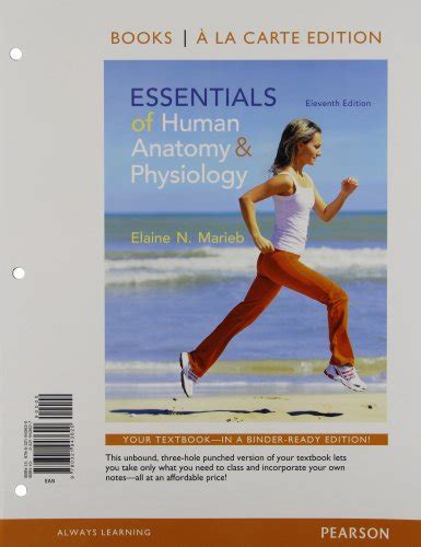 Essentials Of Human Anatomy And Physiology Textbooks Slugbooks