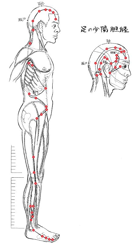 Gallbladder Meridiangb And Acu Points Ao Oriental Healing