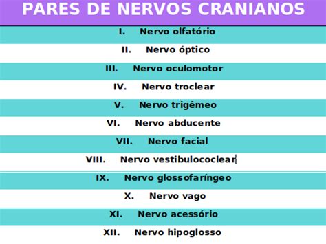 Nervos cranianos e suas respectivas funções Colunistas Sanarmed