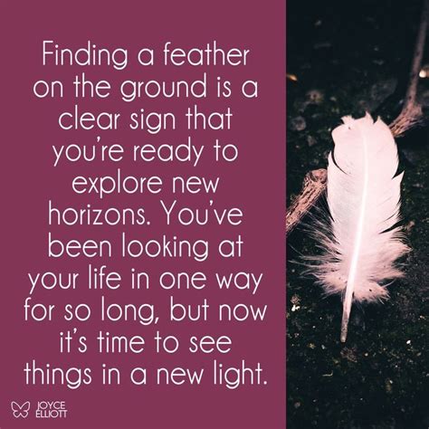 Meaning Of Finding Feathers On The Ground Finding Feathers Feather