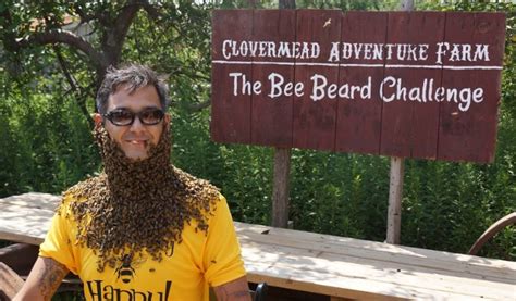 Bee Beard Competition | Elgin Tourism