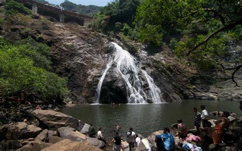 List Of Wildlife Sanctuaries In Goa - Route, Entry Fee, Animal, Guide