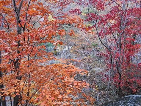 Hike Jirisan Magnificent Fall Colors - 1Adventure Traveler