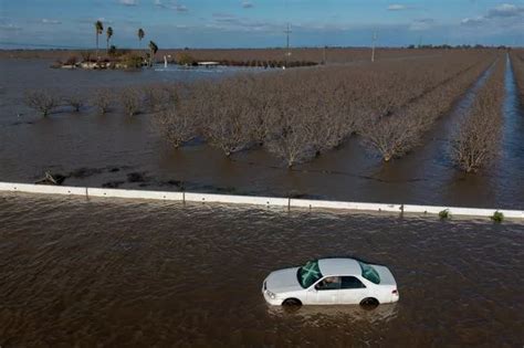 California braces for power outages and downed trees as another winter storm rolls in - Irish Star