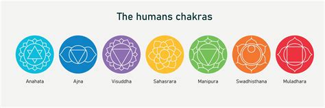 Human Chakras Line Icon Set Symbols With Name In Sanskrit Vector