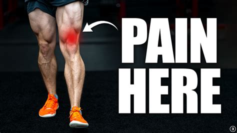 Quadriceps Tendinopathy Rehab E3 Rehab