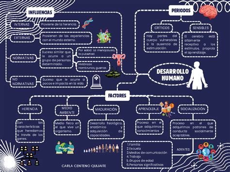 Influencias Factores Y Periodos Cr Ticos Y Sensibles Del Desarrollo