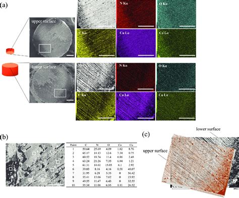 A Sem Images And Edx Maps Of The Upper And Lower Fracture Surfaces Of