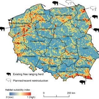 Wisent habitat suitability across Poland. | Download Scientific Diagram