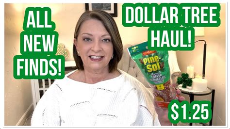 Dollar Tree Haul All New Finds Wow The Dt Never