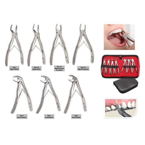 Dental Extraction Tools Names Ubicaciondepersonas Cdmx Gob Mx