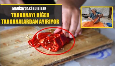 Manisa daki kırmızı biber tarhananın tadı oldu Haber Ekspres