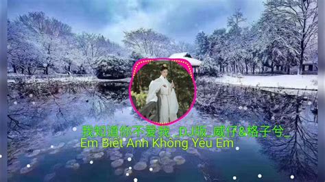 我知道你不爱我 Dj版 Em Biết Anh Không Yêu Em威仔and格子兮抖音最后听的歌曲2023🔥 Youtube