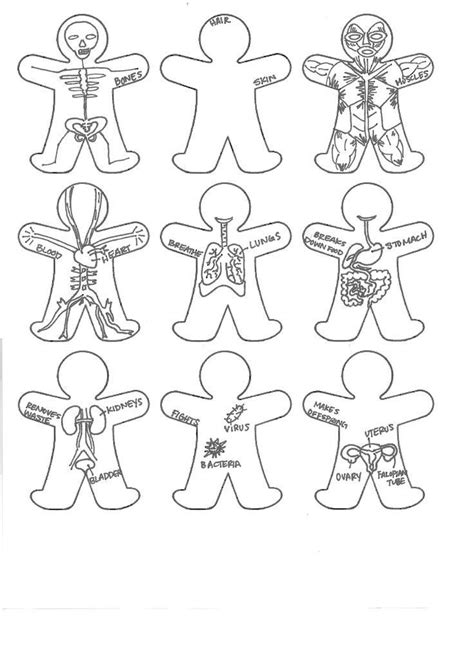 Free Body Part Printables