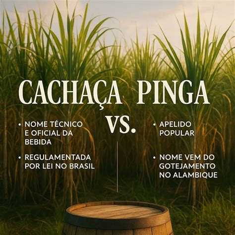 Diferença Entre Pinga E Cachaça - Cachaça e Pinga São a Mesma Coisa? Entenda a Diferença