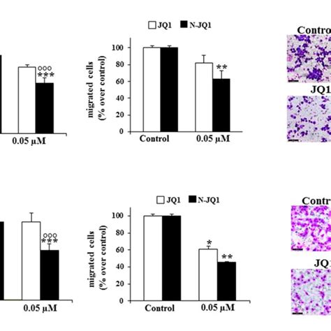 Effects Of N Jq On Adhesion And Migration Properties Of Tnbc Mda Mb