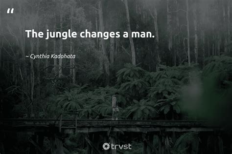 42 Jungle Quotes Inspiring Conservation And Adventure (2024)