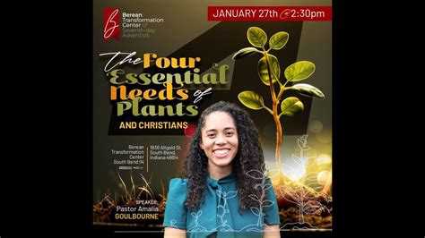 The Four Essential Needs Of Plants And Christians Pastor Amalia