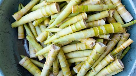 What Are Bamboo Shoots Good For Discover The Benefits Broadpick