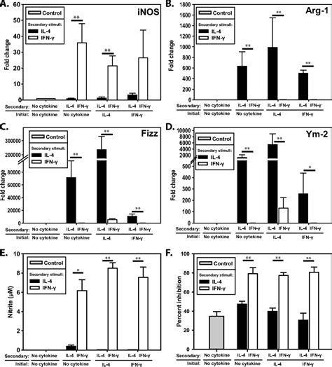 Macrophage M1 M2 Polarization Dynamically Adapts To Changes In Cytokine