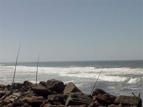 Fishing Report South Africa: Blue Lagoon Durban