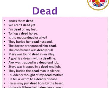 Dead in a Sentence in English Archives - English Grammar Here