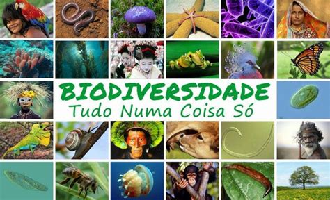 A conservação e o uso sustentável da Biodiversidade