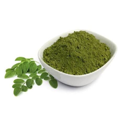 Moringa Powder - Vidhata Impex