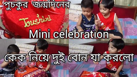 পুচকুর জন্ম দিনে মামার বাড়িতে Mini Celebration।কেক নিয়ে দুই বোন যা