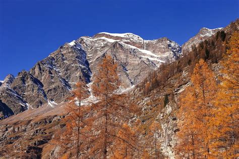 Monte Rosa Visto Da Pecetto Macugnaga In Autunno Juzaphoto