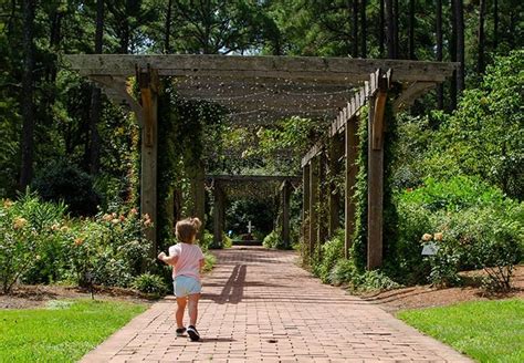 Cape Fear Botanical Garden in Fayetteville NC: 7 Things That We Love