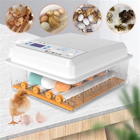 Egg Incubator Digital Automatic Constant Temperature Egg Incubator