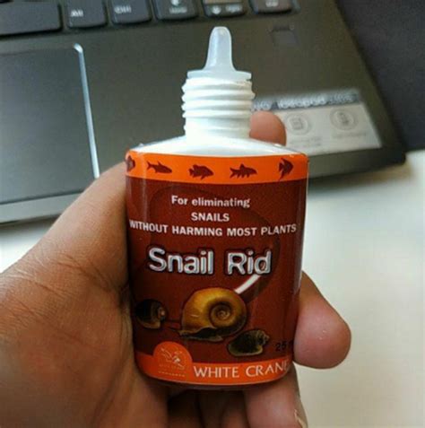 Best Snail Rid Kill Snail Of Tank Aquarium Snail Rid Infestation Pest Control