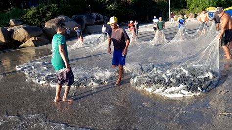 Pesca Da Tainha Confira Como Foi O Final De Semana Nas Praias De Sc