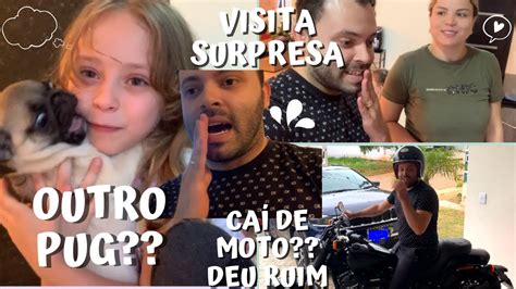 VLOG CAIMOS NA ESTRADA ADOTAMOS OUTRO PUG VIAGEM SURPRESA YouTube