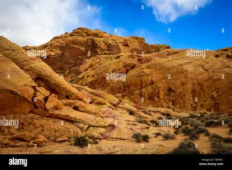 Rainbow Vista Red Sandstone Rocks Mojave Desert Sandstone Formation Valley Of Fire State