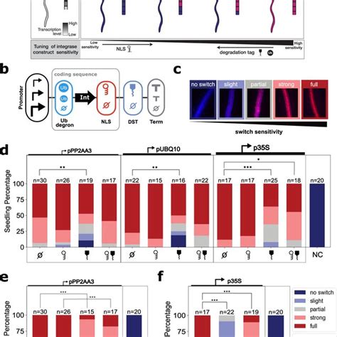 Integrase Mediates Orthogonal Dna Switch In Arabidopsis A Design Of The