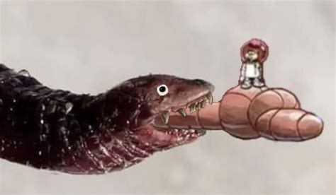 Alaskan Bull Worm Album On Imgur