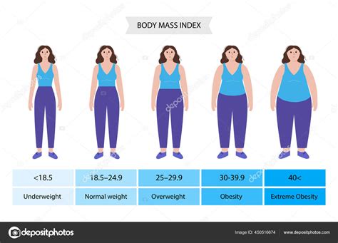 Body Mass Index Woman ⬇ Vector Image By © Pikovit Vector Stock 450516674