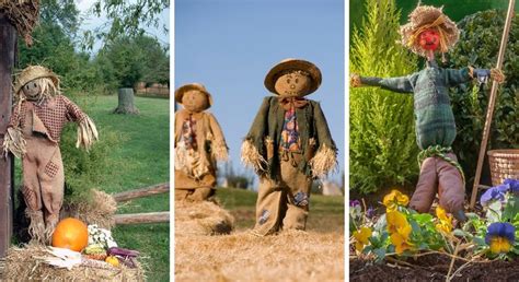 Épouvantail au jardin comment en fabriquer un Les 6 étapes