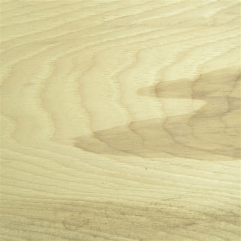 Hickory Wood Texture